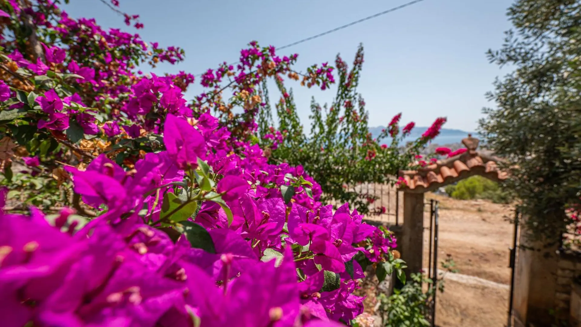 Euphoria Apartments Sarandë